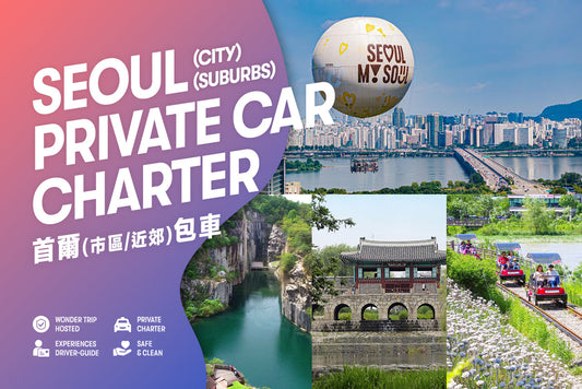 Seoul Private Car Charter to Seoul City - Everland - Nami Island - Alpaca World - Gangchon Rail Park