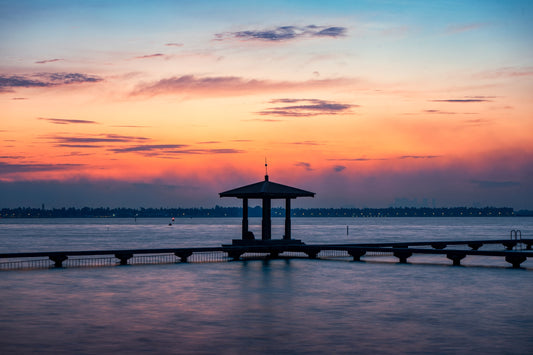 Wuhan City One - Day Private Car Charter