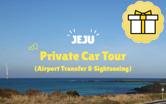 Jeju Island Private Car Charter