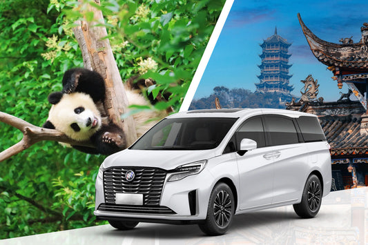 Private Car Tour: Chengdu Round Trip to Shenshuping Panda Base & Dujiangyan Irrigation System Day Tour