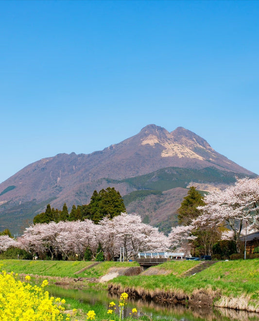 Fukuoka Chartered Day Tour | Chinese Driver and Guide · 10 - Hour Private Transfer | Multiple Routes Available or Customizable in Fukuoka - Nagasaki - Oita - Kumamoto - Takachiho