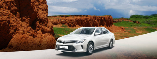 Kaohsiung Departure: Kenting Car Rental with Driver to National Museum of Marine Biology and Aquarium - E