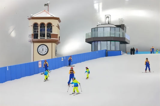Karu Ice and Snow World - Mission Hills Private Car Transfer