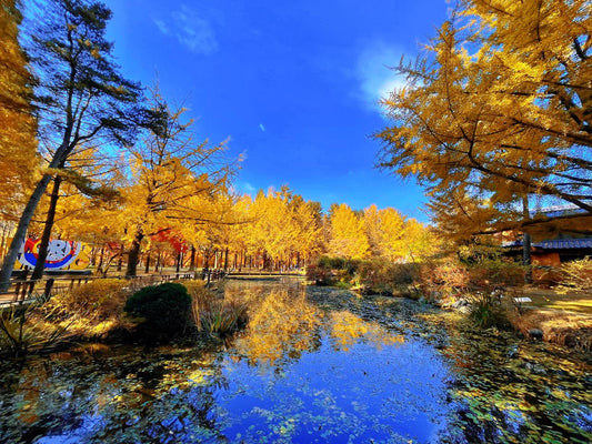 Gangwon - do Private Car Charter