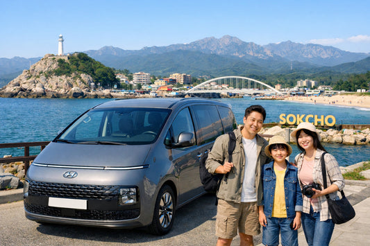 Seoul Suburbs Private Car Charter | Incheon, Nami & Gangneung
