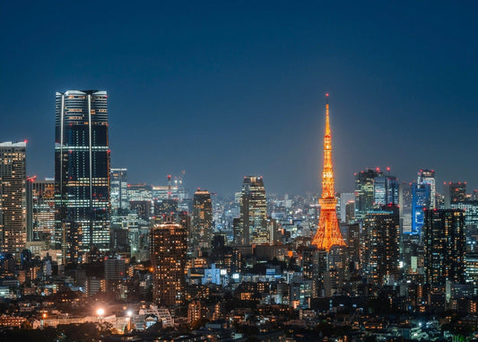 Kanto Private Chartered Car Custom Day Tour|Kamakura & Yokohama & Hakone & Mt. Fuji & Karuizawa|Departing from Tokyo