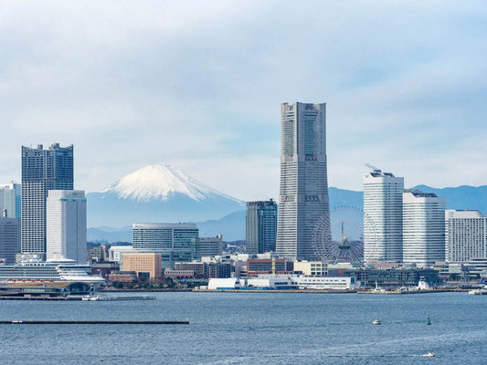 Yokohama Chartered Car Day Trip | Red Brick Warehouse, Chinatown, Minato Mirai, Hakkeijima, etc. Free Customized Routes