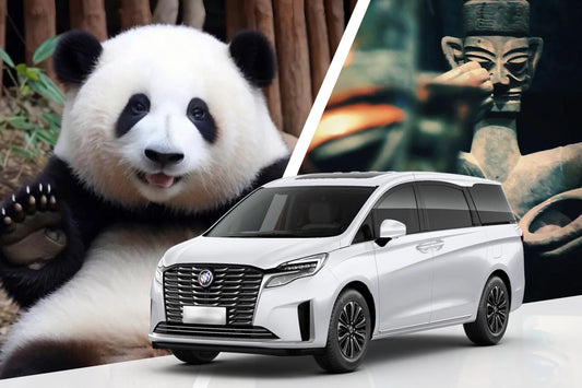 Private Car Tour: Sichuan Panda Base & Sanxingdui Museum Day Trip