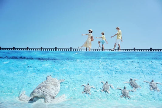 Penghu Private Car Charter: Choose Your Own Attractions on the Main Island (Departing from Penghu)