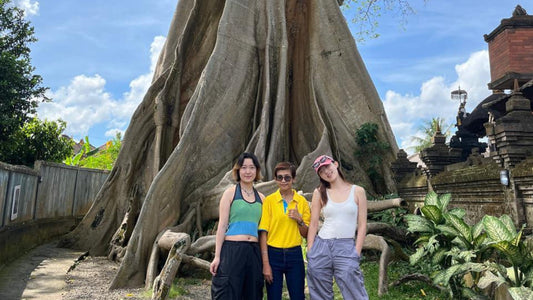 Bali Female Driver (Private Car Charter)