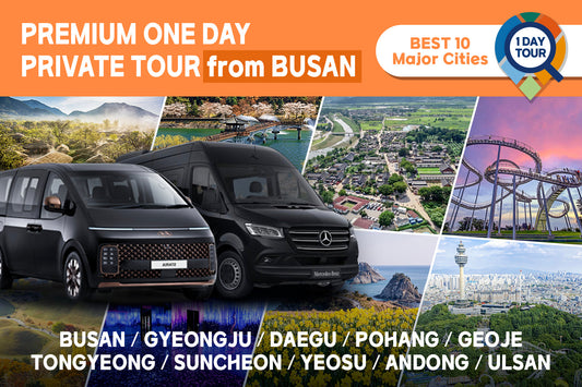 Busan Premium Car Charter to Busan - Gyeongju - Pohang - Daegu - Yeosu