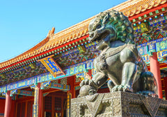 Chartered Tour Beijing City One - Day Chartered Car