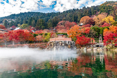 [Departing from Osaka - Kyoto] Kyoto - Nara - Osaka Enjoy a flexible and customized chartered car day trip in Kansai