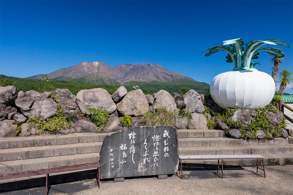 [Kyushu Pier Charter] Kagoshima - Miyazaki Pier Private Charter Day Tour | Customizable Itinerary