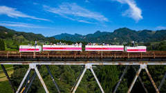 Takachiho Private Car Charter Day Tour: Takachiho Gorge, Takachiho Shrine, Ama - Iwato Shrine, Ama - no - Yasukawara, Miniature Train | Customized Private Group Itinerary