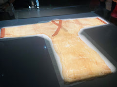 Mawangdui Han Dynasty Tombs & Changsha Underwater World Private Car Day Tour