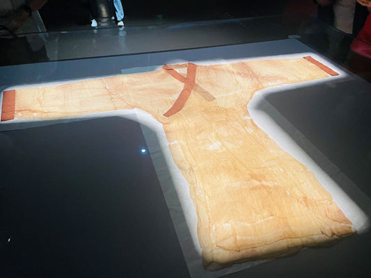 Mawangdui Han Dynasty Tombs & Changsha Underwater World Private Car Day Tour