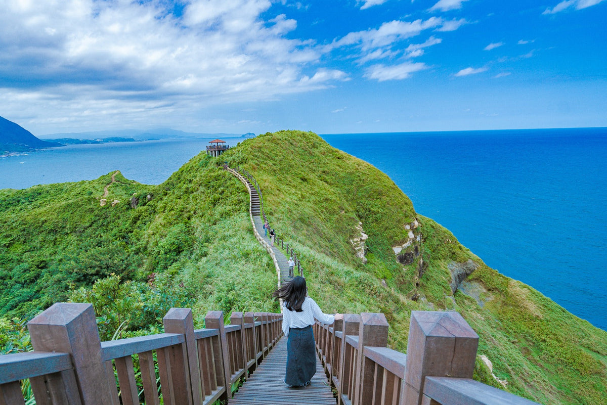 New Taipei Car Rental with Driver - Yin Yang Sea, Laomei Green Reef, and Elephant Trunk Rock