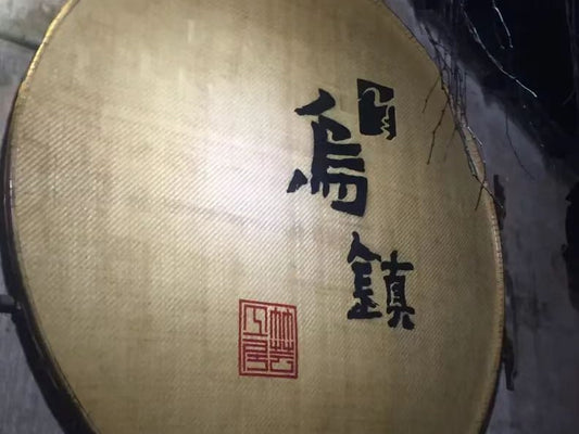 8 - Hour Private Car Charter: Shanghai to Jiaxing Wuzhen Round Trip