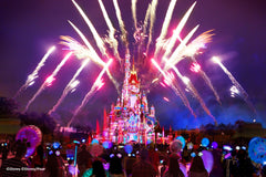 Hong Kong Disneyland Chartered Transfer (Shenzhen - Guangzhou - Zhongshan - Foshan - Jiangmen)
