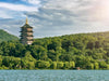 Round - trip chartered car tour from Shanghai to Hangzhou