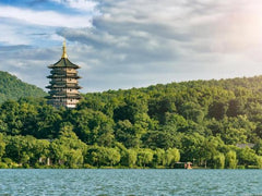 Round - trip chartered car tour from Shanghai to Hangzhou