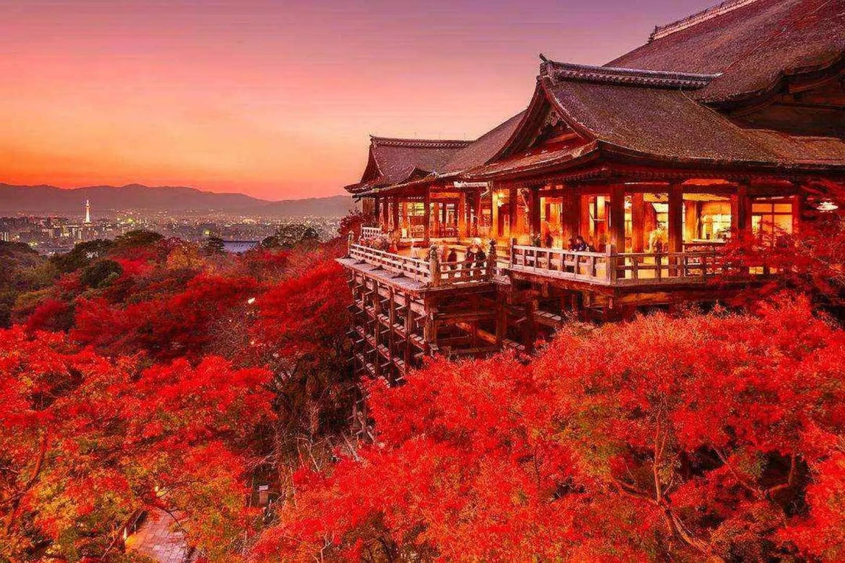 Kansai Private Chartered Car Custom Day Tour: Osaka & Kyoto & Nara & Kobe & Awaji Island & Amanohashidate & Lake Biwa (Departing from Osaka)