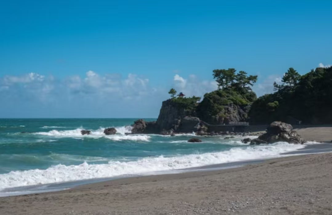 [Kochi Chartered Car] Katsurahama + Makino Botanical Garden + Chikurin - ji Temple + Godaisan Observatory - Day Trip Chartered Car (Customized - Free Arrangement of Itinerary)