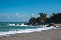 [Kochi Chartered Car] Katsurahama + Makino Botanical Garden + Chikurin - ji Temple + Godaisan Observatory - Day Trip Chartered Car (Customized - Free Arrangement of Itinerary)