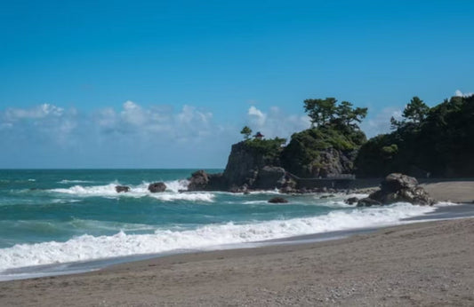 [Kochi Chartered Car] Katsurahama + Makino Botanical Garden + Chikurin - ji Temple + Godaisan Observatory - Day Trip Chartered Car (Customized - Free Arrangement of Itinerary)
