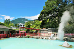 Beppu & Yufuin & Oita Private Car Tour with Driver