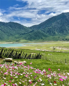 Private Car Tour: Chengdu Siguniang Mountain - Wolong Shenshuping - Tagong Grassland Xinduqiao - Mugecuo Multi - Day Private Car Tour