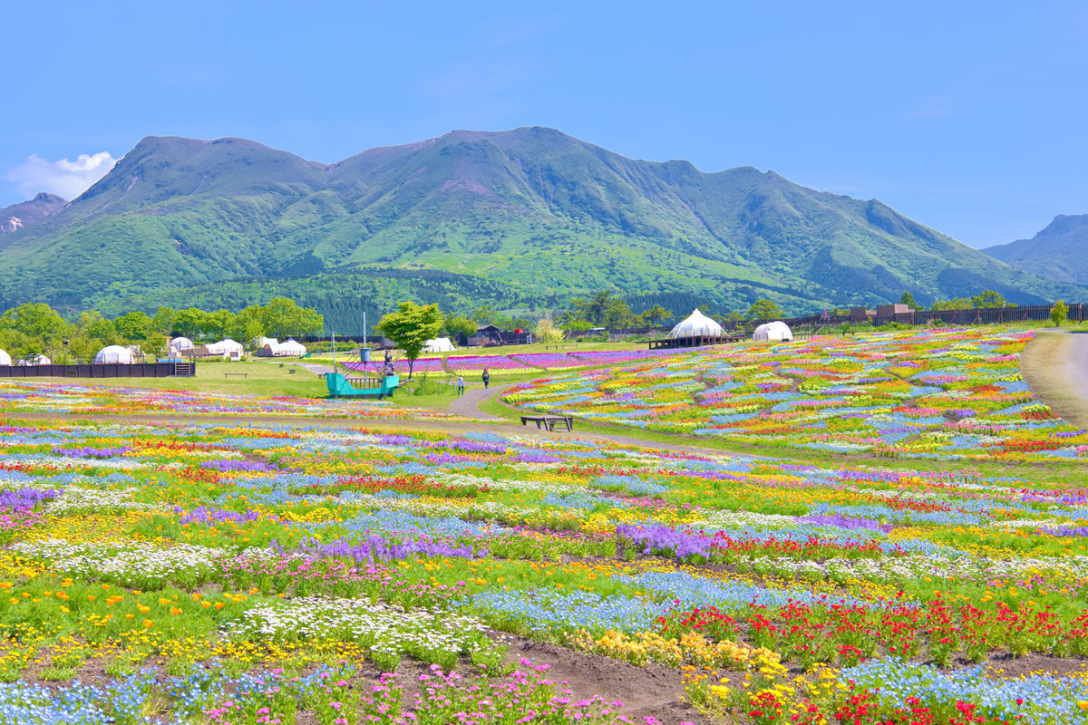 Beppu & Yufuin & Oita Private Car Tour with Driver