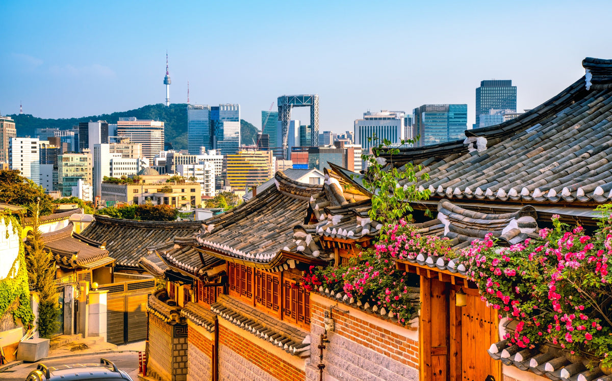 Seoul to Nearby Suburbs Private Car Charter