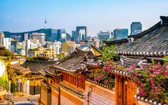 Seoul to Nearby Suburbs Private Car Charter
