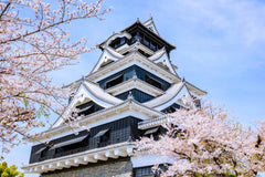 [Kyushu Wharf Private Car Charter] Fukuoka - Nagasaki - Sasebo - Kumamoto Wharf Private Car Charter One - Day Tour | Customizable Itinerary