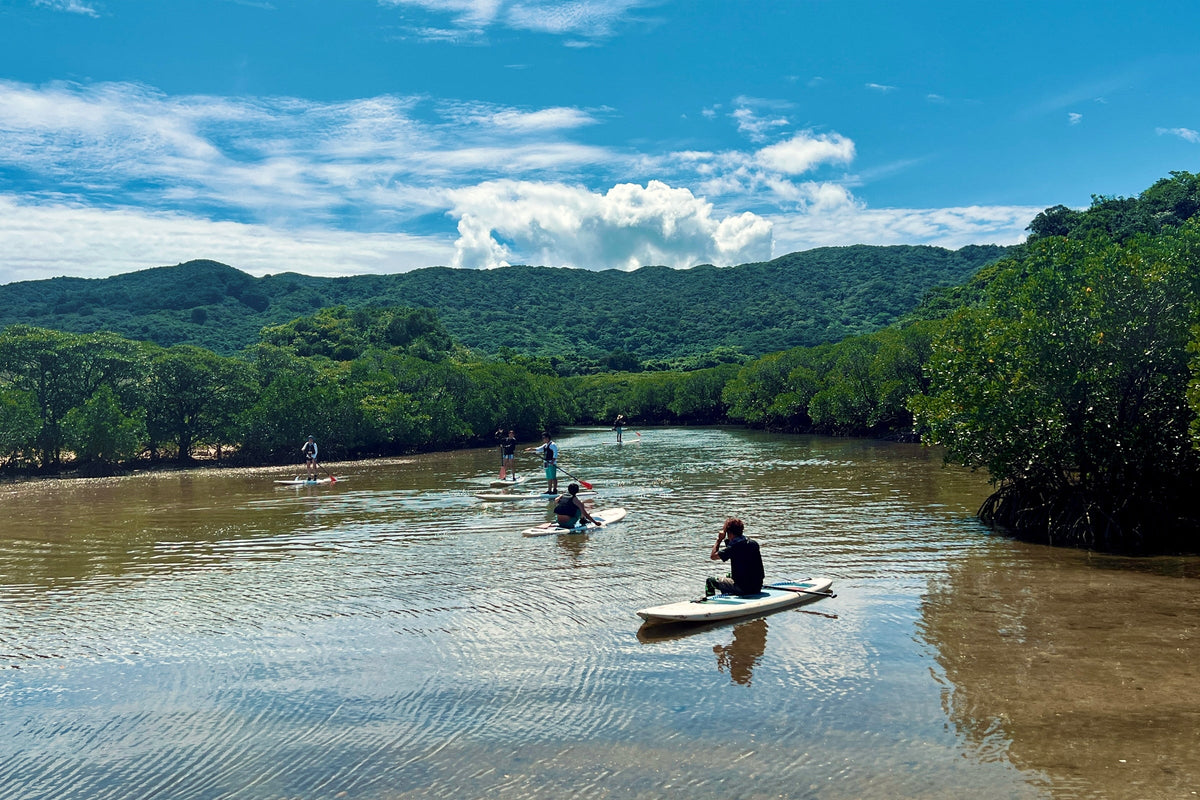Ishigaki Island Private Customizable One Day Charter Tour