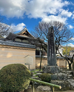 Fukuoka Chartered Day Tour | Chinese Driver and Guide · 10 - Hour Private Transfer | Multiple Routes Available or Customizable in Fukuoka - Nagasaki - Oita - Kumamoto - Takachiho