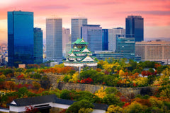 Osaka Famous Tourist Spots Charter Car 1 - Day Tour (Osaka Pick - up)