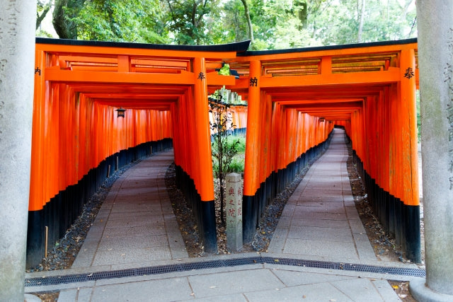 Kyoto Private Car Charter with English Speaking Guide