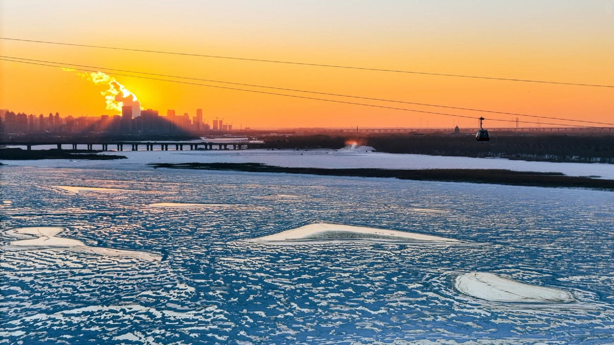 Private Car Tour: One - Day Harbin City Tour (Ice and Snow World + St. Sophia Cathedral Square + Central Street + Songhua River + Siberian Tiger Park)