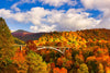 Aomori | Oirase Stream & Shirakami Mountains Private Chartered Day Tour | Customizable Itinerary