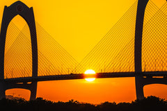 Maoming City One - Day Private Car Tour
