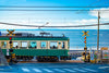 Kamakura Great Buddha & Hakone Shrine Transfer & Private Car Day Tour