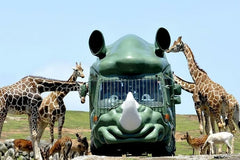 Kyushu | Oita Kyushu Natural Animal Park - Beppu Sea Hell Hot Spring - Yufuin - Kinrin Lake Customized Chartered Day Tour