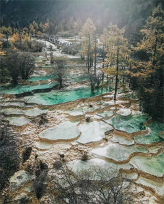Private Car Tour: Multi - Day Private Car Tour of Chengdu, Jiuzhaigou - Huanglong Scenic Area - Zoige Grassland in Western Sichuan