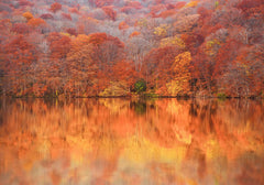 Aomori | Oirase Stream & Shirakami Mountains Private Chartered Day Tour | Customizable Itinerary