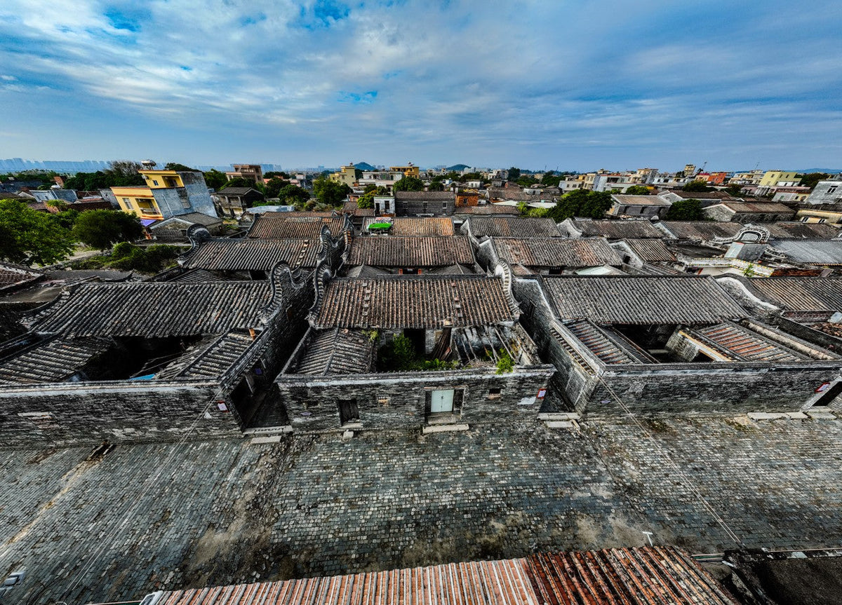Yangjiang City One - Day Private Car Charter