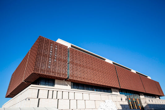 Olympic Park & CAFA Art Museum Chartered Car Tour