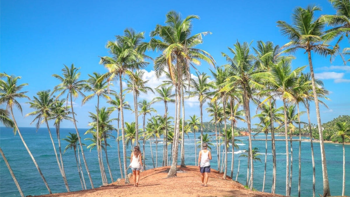 Mirissa Private Car Charter